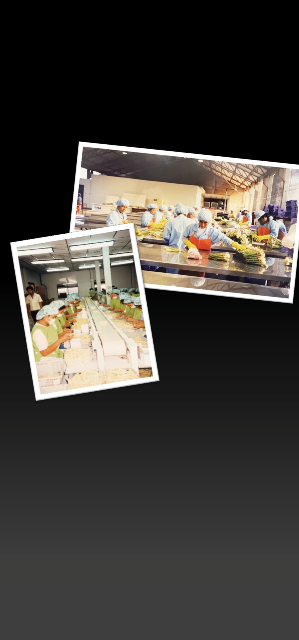 Waitrose & Wealmoor journey slide 5