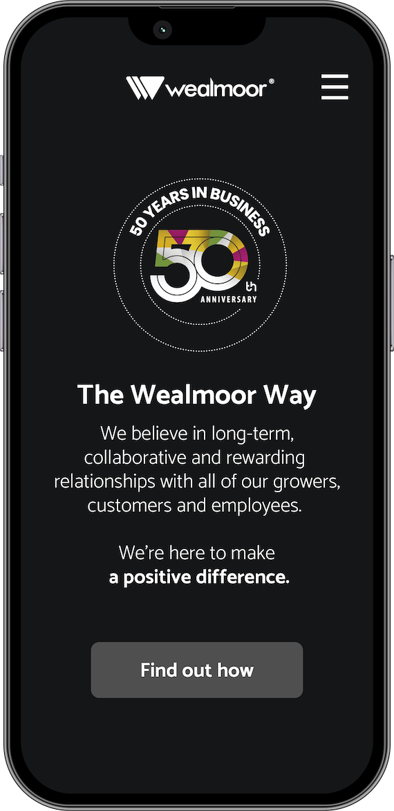 Web example